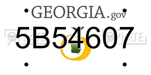 5B54607 Georgia License Plate