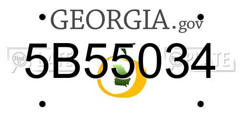 5B55034 Georgia License Plate