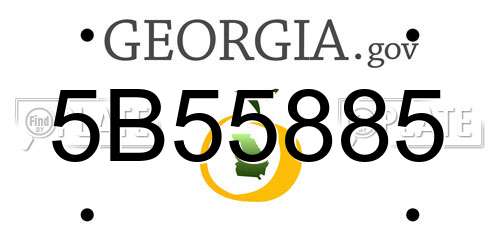 5B55885 Georgia License Plate