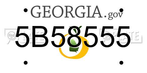 5B58555 Georgia License Plate
