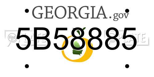 5B58885 Georgia License Plate