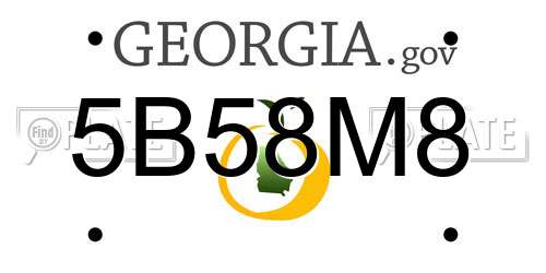5B58M8 Georgia License Plate