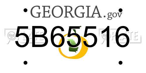 5B65516 Georgia License Plate