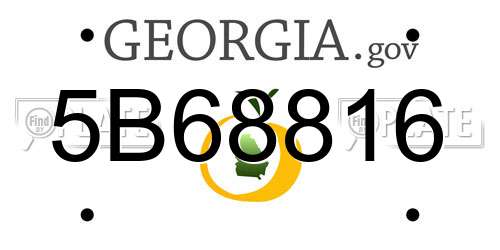 5B68816 Georgia License Plate
