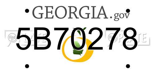 5B70278 Georgia License Plate