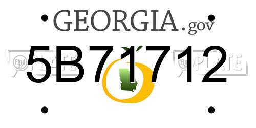 5B71712 Georgia License Plate