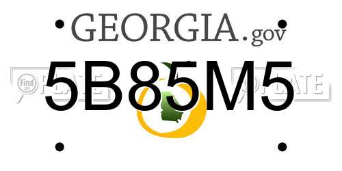 5B85M5 Georgia License Plate