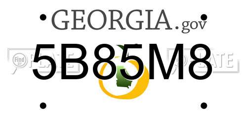 5B85M8 Georgia License Plate