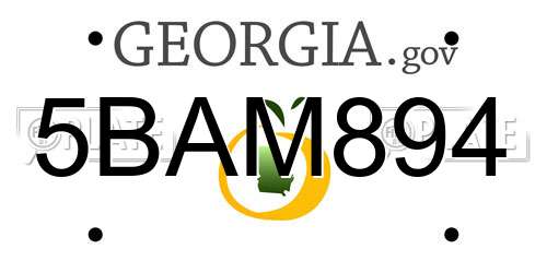 5BAM894 Georgia License Plate