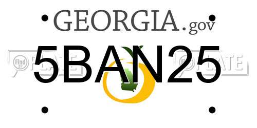 5BAN25 Georgia License Plate