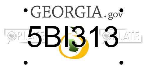 5BI313 Georgia License Plate