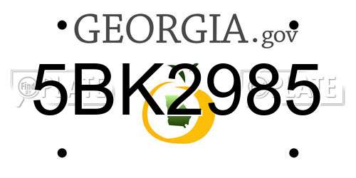 5BK2985 Georgia License Plate