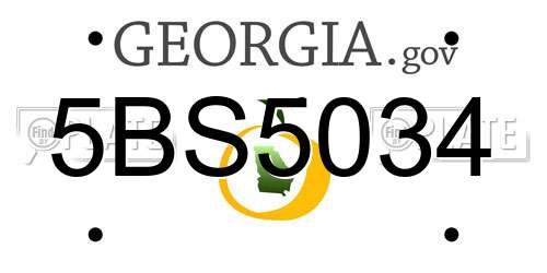 5BS5034 Georgia License Plate