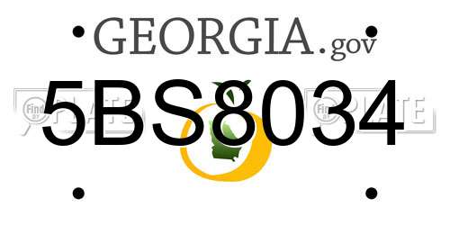 5BS8034 Georgia License Plate