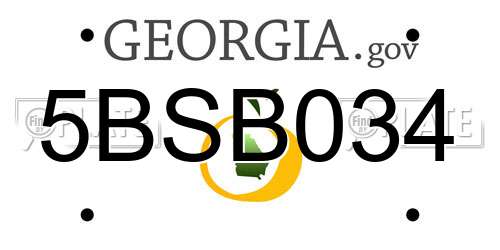 5BSB034 Georgia License Plate