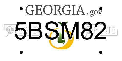 5BSM82 Georgia License Plate