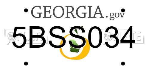 5BSS034 Georgia License Plate