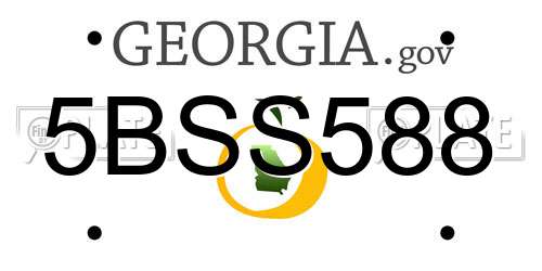 5BSS588 Georgia License Plate