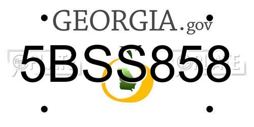 5BSS858 Georgia License Plate