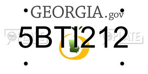 5BTI212 Georgia License Plate