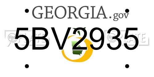 5BV2935 Georgia License Plate