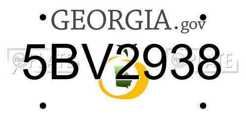 5BV2938 Georgia License Plate
