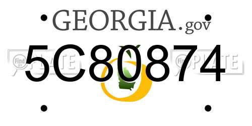 5C80874 Georgia License Plate