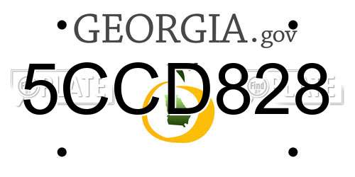 5CCD828 Georgia License Plate