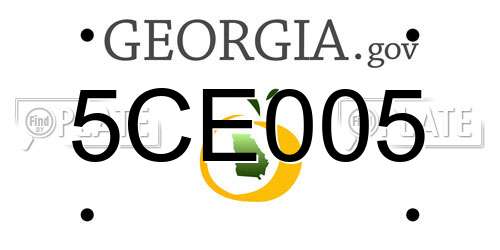 5CE005 Georgia License Plate