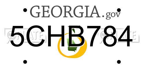 5CHB784 Georgia License Plate