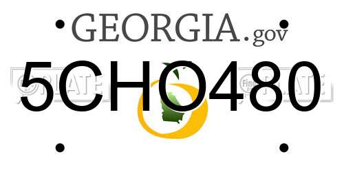 5CHO480 Georgia License Plate