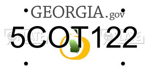 5COT122 Georgia License Plate
