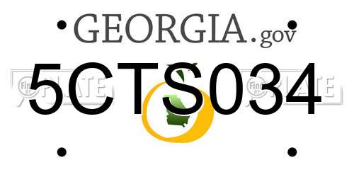 5CTS034 Georgia License Plate