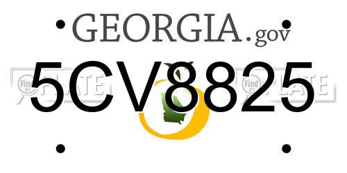5CV8825 Georgia License Plate