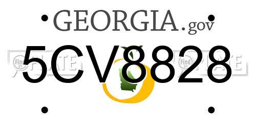 5CV8828 Georgia License Plate