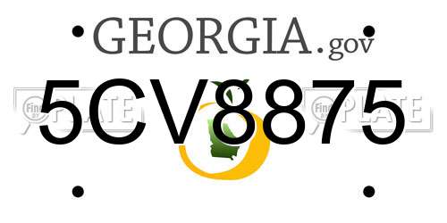 5CV8875 Georgia License Plate
