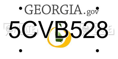 5CVB528 Georgia License Plate