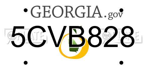 5CVB828 Georgia License Plate