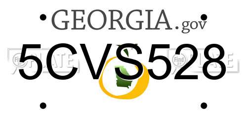 5CVS528 Georgia License Plate