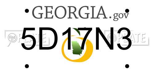 5D17N3 Georgia License Plate