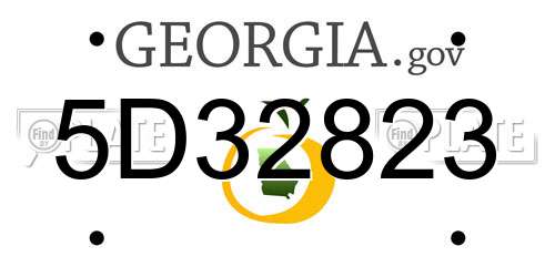 5D32823 Georgia License Plate