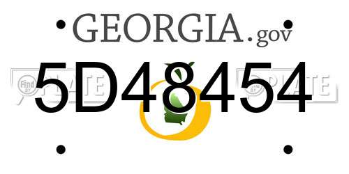 5D48454 Georgia License Plate