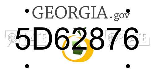 5D62876 Georgia License Plate