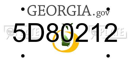 5D80212 Georgia License Plate