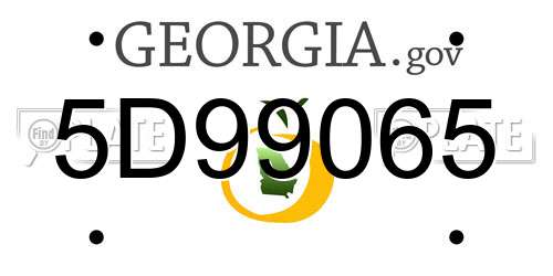 5D99065 Georgia License Plate