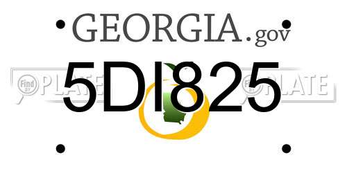 5DI825 Georgia License Plate
