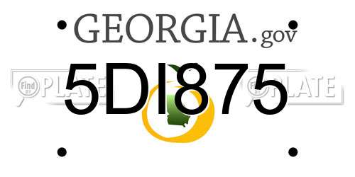 5DI875 Georgia License Plate