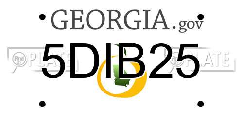 5DIB25 Georgia License Plate