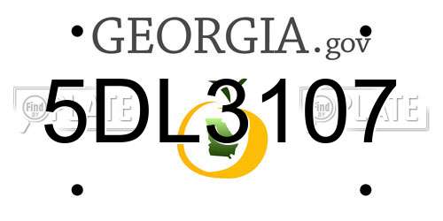 5DL3107 Georgia License Plate