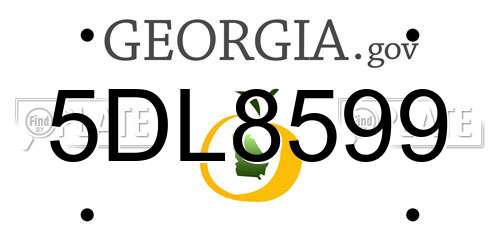5DL8599 Georgia License Plate